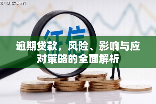 太麻里逾期贷款，风险、影响与应对策略的全面解析