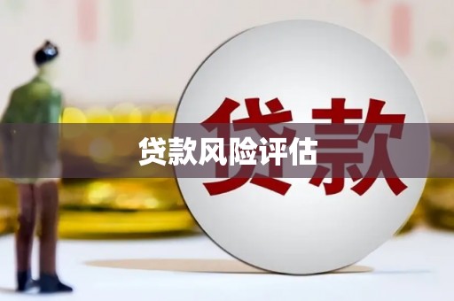 太麻里贷款风险评估