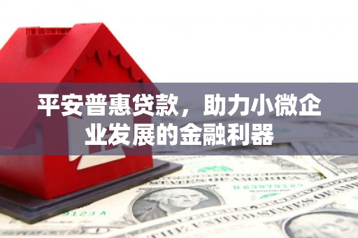 太麻里平安普惠贷款，助力小微企业发展的金融利器