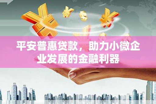 太麻里平安普惠贷款，助力小微企业发展的金融利器