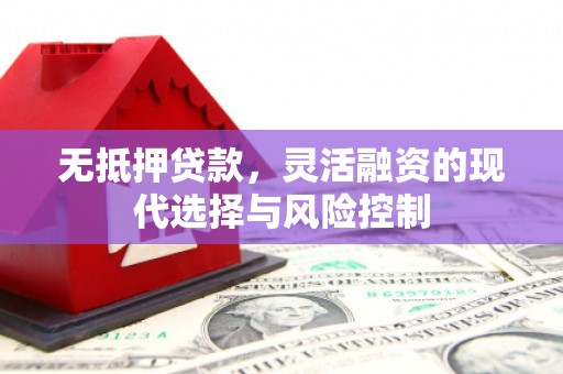 太麻里无抵押贷款，灵活融资的现代选择与风险控制