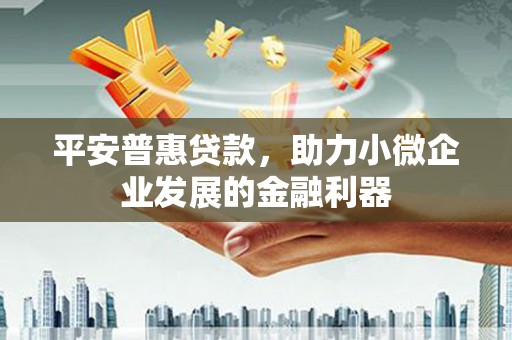 太麻里平安普惠贷款，助力小微企业发展的金融利器