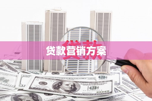 太麻里贷款营销方案