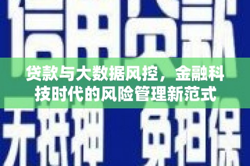 太麻里贷款与大数据风控，金融科技时代的风险管理新范式