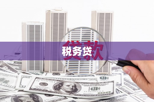 太麻里税务贷