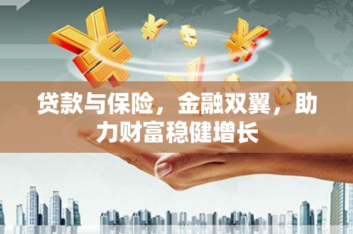太麻里贷款与保险，金融双翼，助力财富稳健增长
