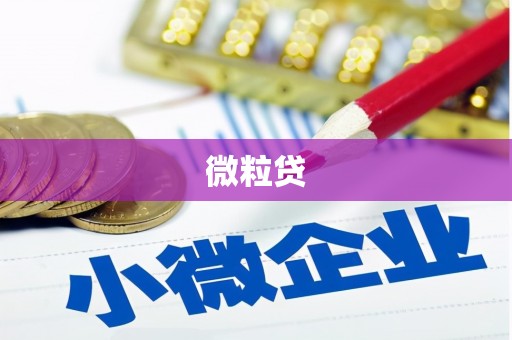 太麻里微粒贷