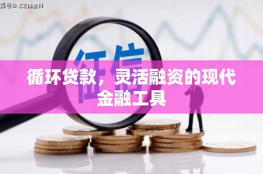 太麻里循环贷款，灵活融资的现代金融工具