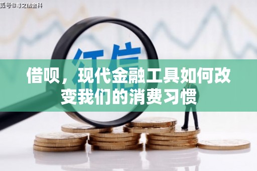 太麻里借呗，现代金融工具如何改变我们的消费习惯