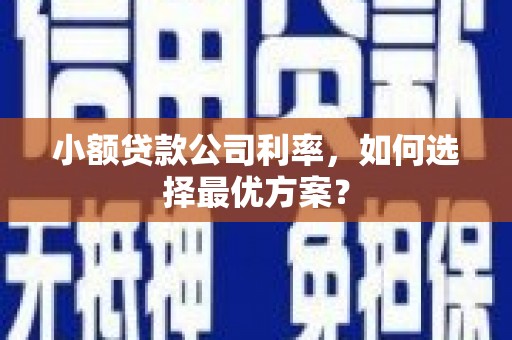 太麻里小额贷款公司利率，如何选择最优方案？