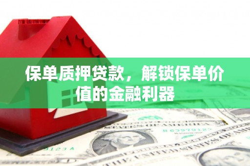 太麻里保单质押贷款，解锁保单价值的金融利器