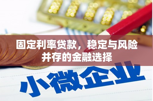 太麻里固定利率贷款，稳定与风险并存的金融选择