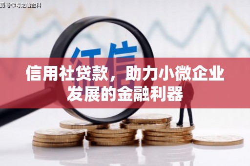 太麻里信用社贷款，助力小微企业发展的金融利器