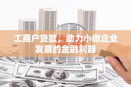太麻里工商户贷款，助力小微企业发展的金融利器