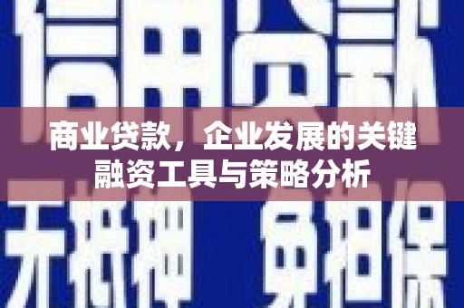 太麻里商业贷款，企业发展的关键融资工具与策略分析