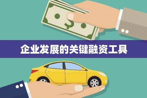 太麻里企业发展的关键融资工具