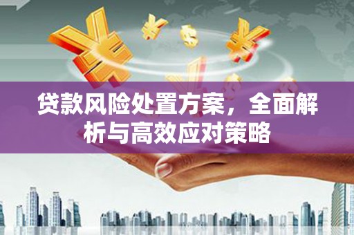 太麻里贷款风险处置方案，全面解析与高效应对策略