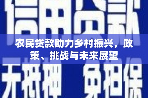 太麻里农民贷款助力乡村振兴，政策、挑战与未来展望