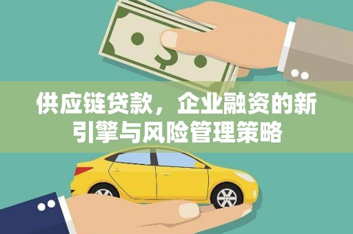 太麻里供应链贷款，企业融资的新引擎与风险管理策略