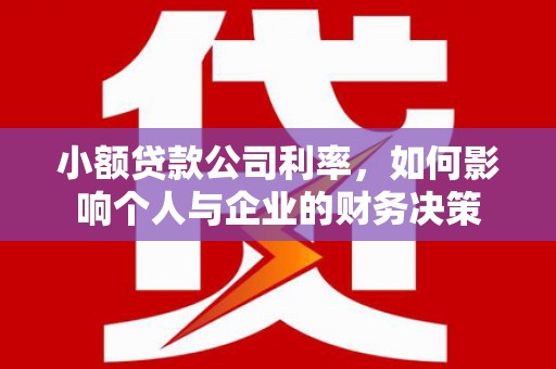 太麻里小额贷款公司利率，如何影响个人与企业的财务决策