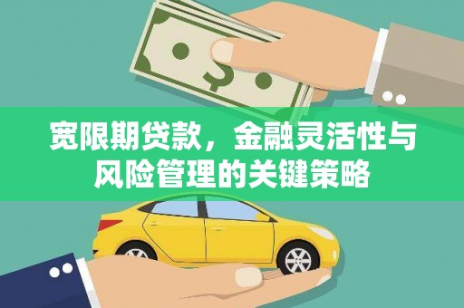 太麻里宽限期贷款，金融灵活性与风险管理的关键策略