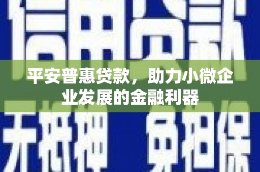 太麻里平安普惠贷款，助力小微企业发展的金融利器
