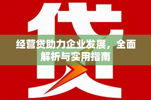 太麻里经营贷助力企业发展，全面解析与实用指南