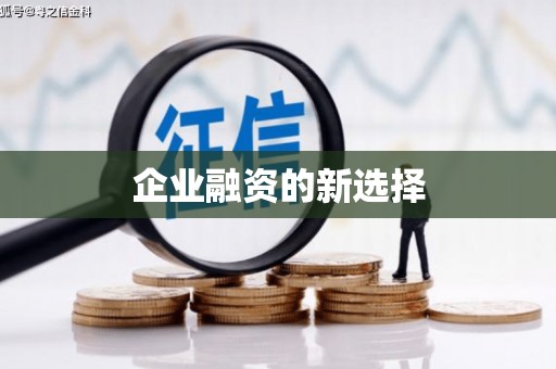 太麻里企业融资的新选择
