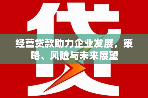 太麻里经营贷款助力企业发展，策略、风险与未来展望