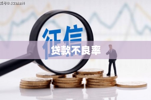 太麻里贷款不良率
