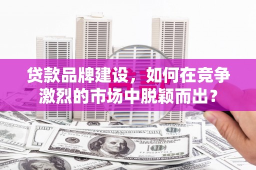 太麻里贷款品牌建设，如何在竞争激烈的市场中脱颖而出？