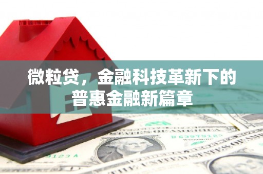 太麻里微粒贷，金融科技革新下的普惠金融新篇章