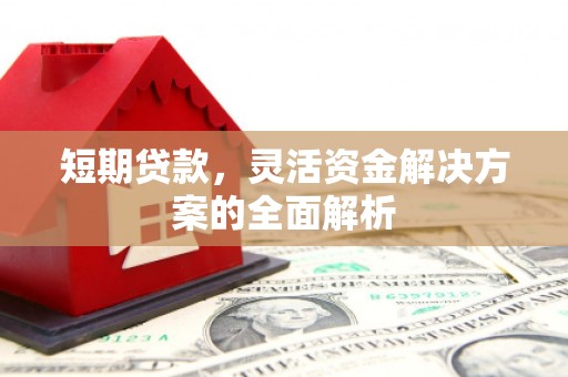 太麻里短期贷款，灵活资金解决方案的全面解析