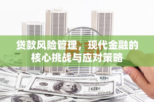 太麻里贷款风险管理，现代金融的核心挑战与应对策略
