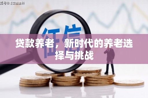 太麻里贷款养老，新时代的养老选择与挑战