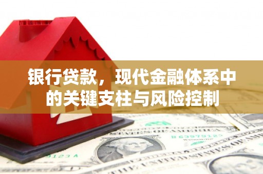 太麻里银行贷款，现代金融体系中的关键支柱与风险控制