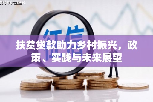 太麻里扶贫贷款助力乡村振兴，政策、实践与未来展望