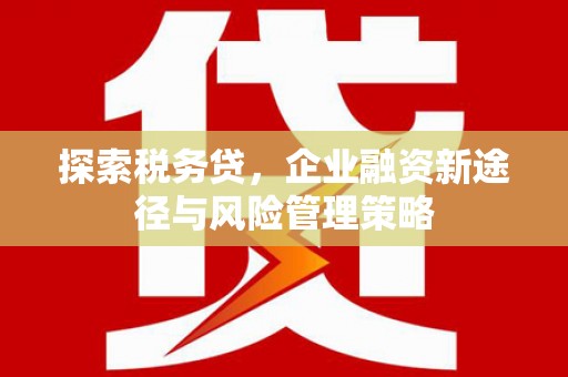太麻里探索税务贷，企业融资新途径与风险管理策略