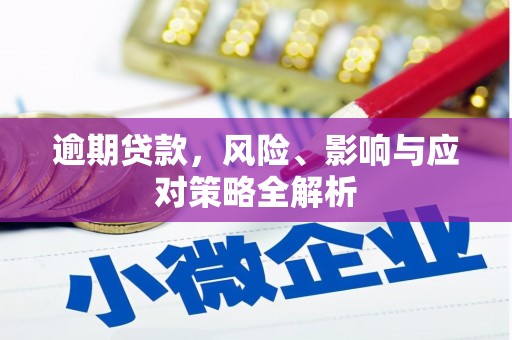 太麻里逾期贷款，风险、影响与应对策略全解析