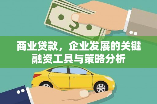 太麻里商业贷款，企业发展的关键融资工具与策略分析
