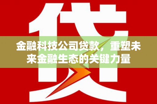 太麻里金融科技公司贷款，重塑未来金融生态的关键力量
