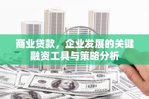 太麻里商业贷款，企业发展的关键融资工具与策略分析