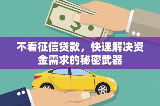 太麻里不看征信贷款，快速解决资金需求的秘密武器