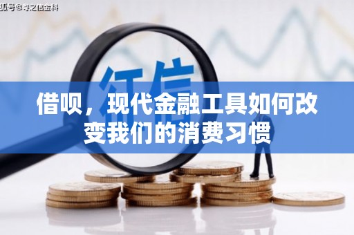 太麻里借呗，现代金融工具如何改变我们的消费习惯