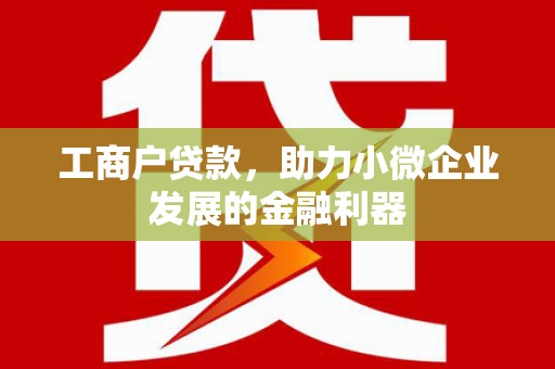 太麻里工商户贷款，助力小微企业发展的金融利器