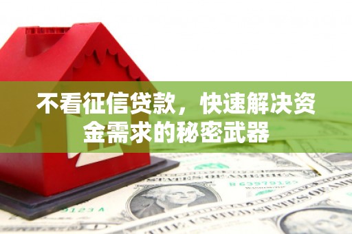 太麻里不看征信贷款，快速解决资金需求的秘密武器