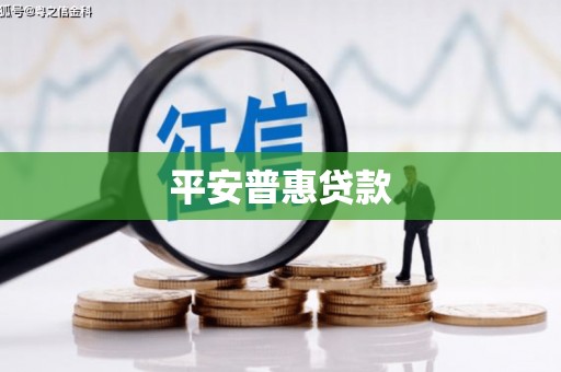 太麻里平安普惠贷款