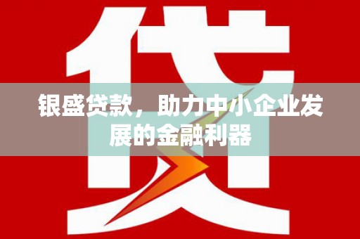 太麻里银盛贷款，助力中小企业发展的金融利器