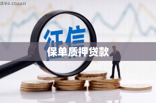 太麻里保单质押贷款