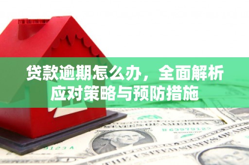 太麻里贷款逾期怎么办，全面解析应对策略与预防措施